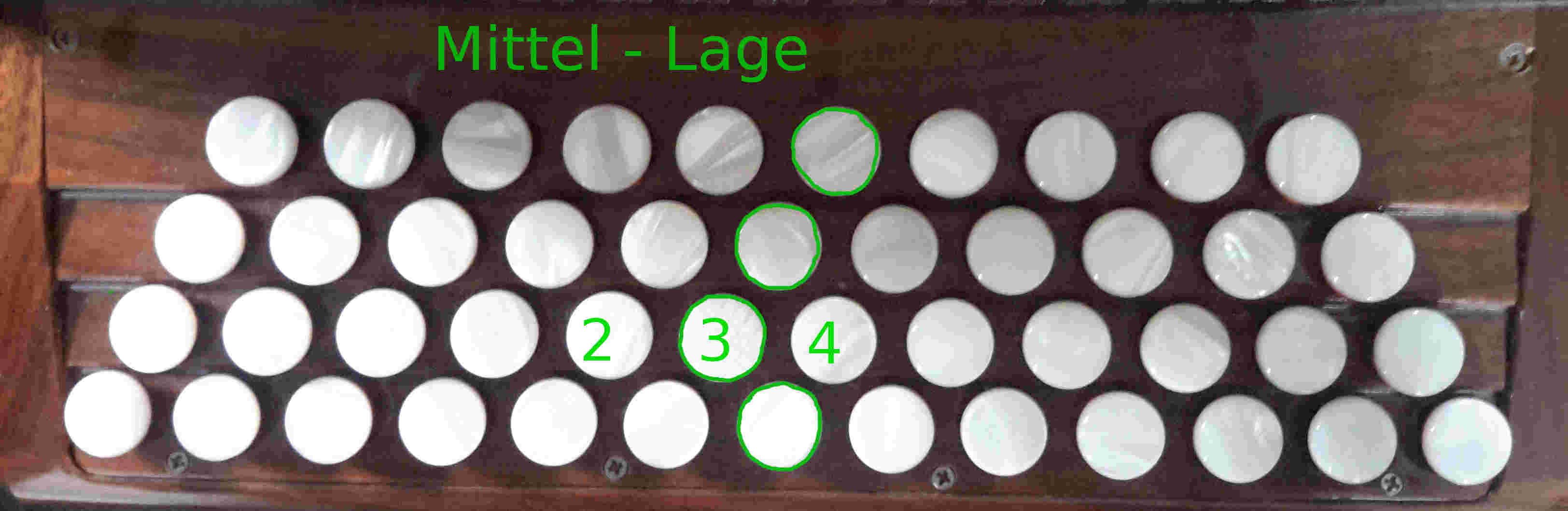 Die Lagen auf der Steirischen Harmonika- Mittel-Lage
